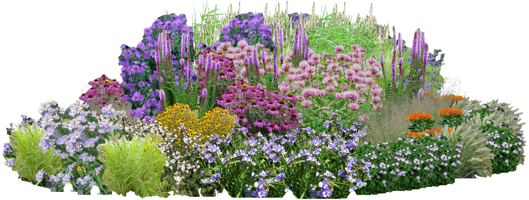 An extra large sized garden of native wildflowers and grasses