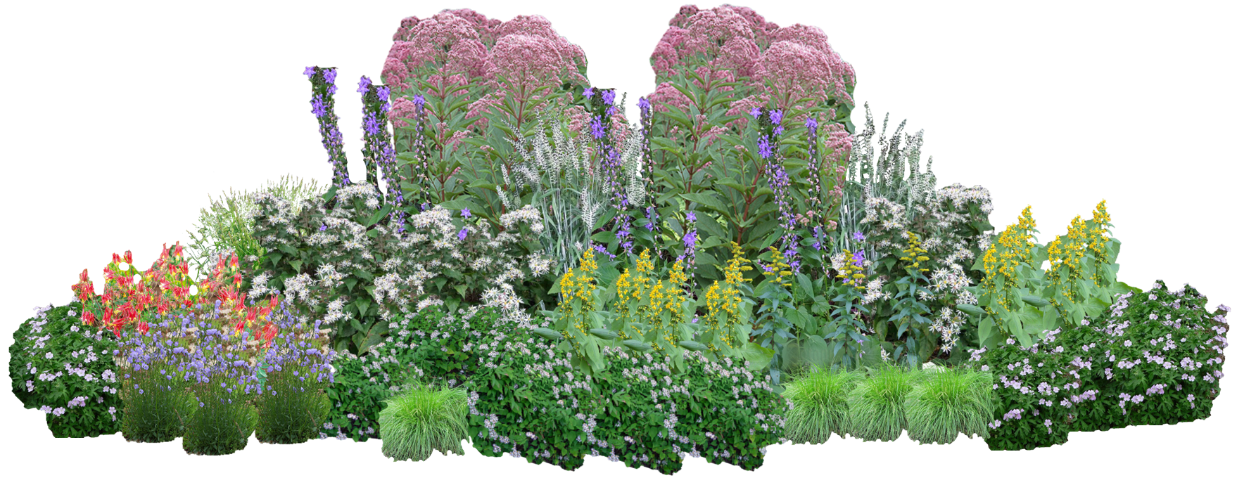 Goldenrod Gala Perennial Native Plants Collection [96 plants]