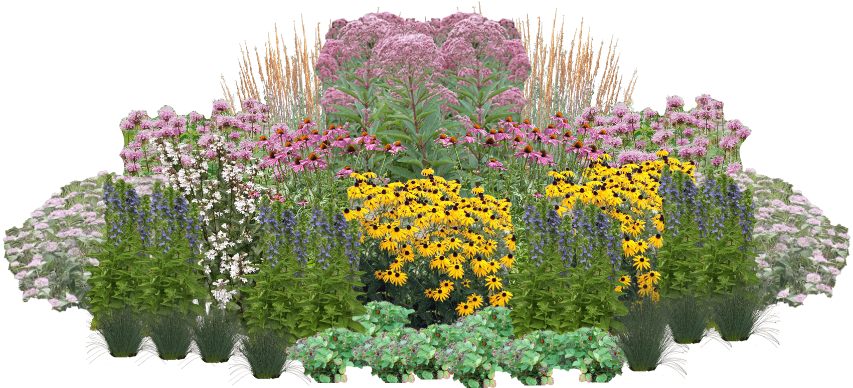 Misty Meadow Perennial Native Plants Collection [64 plants]