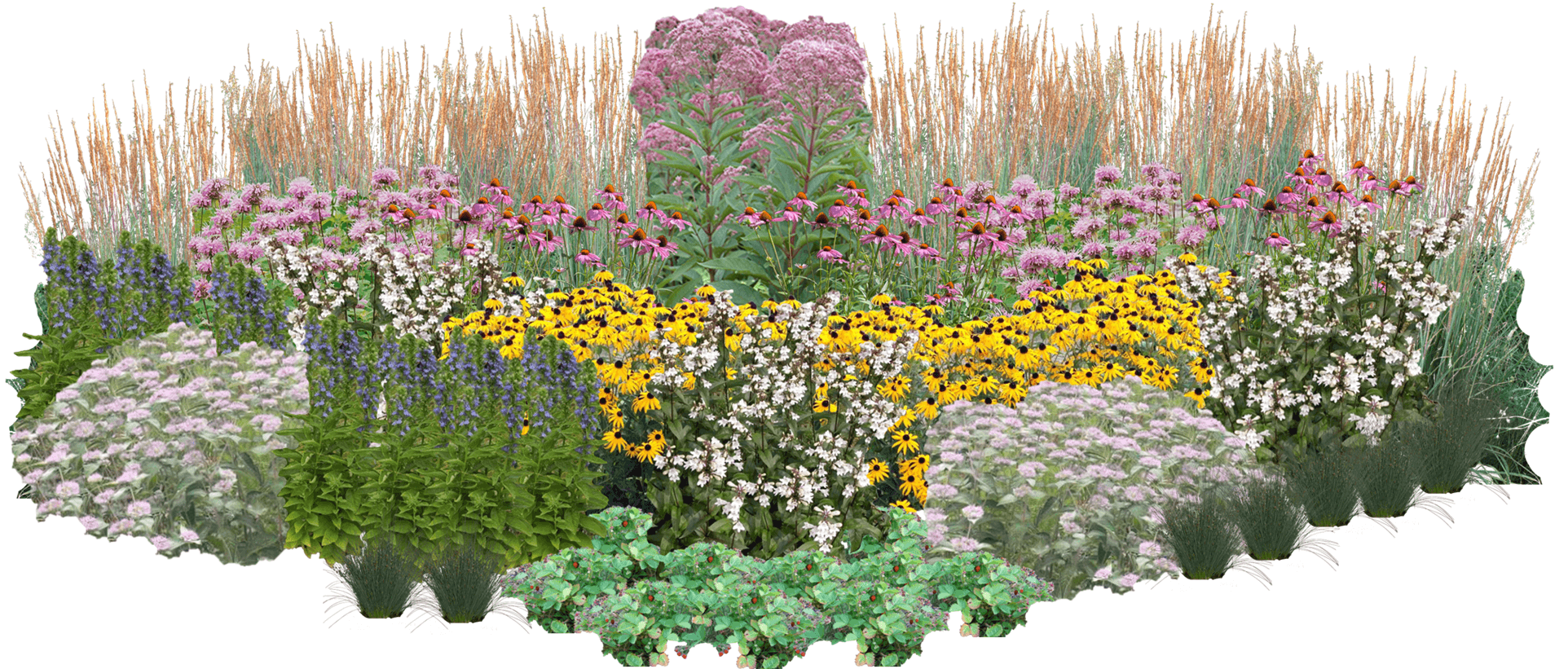 Misty Meadow Perennial Native Plants Collection [96 plants]