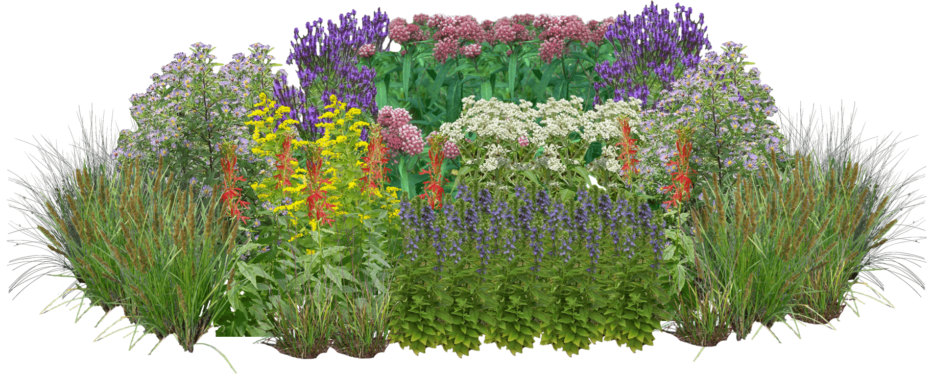 Rainbow Revelry Perennial Native Plant Rain Garden [64 plants]