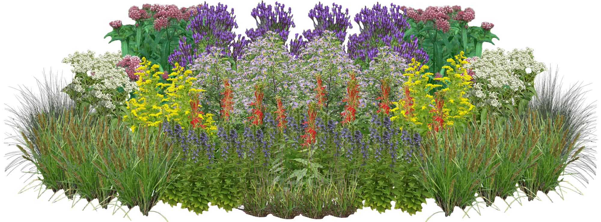 Rainbow Revelry Perennial Native Plant Rain Garden [96 plants]