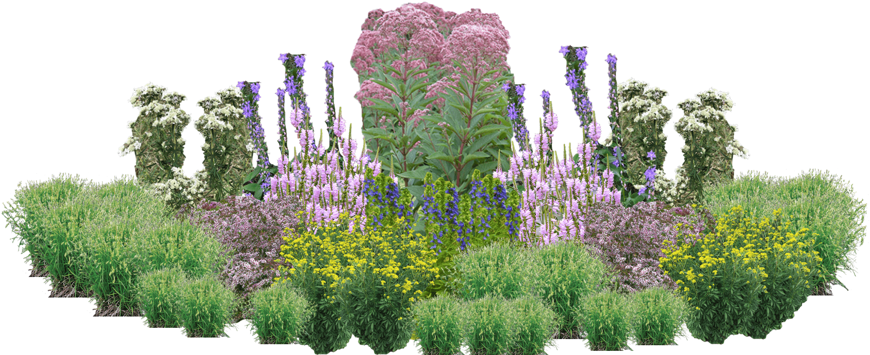 Frosted Forest Perennial Native Plants Collection [64 plants]