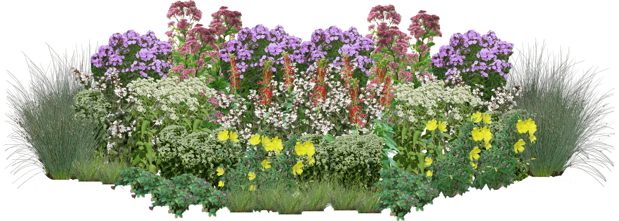 Bumblebee Bouquet Perennial Native Plants Collection [96 plants]