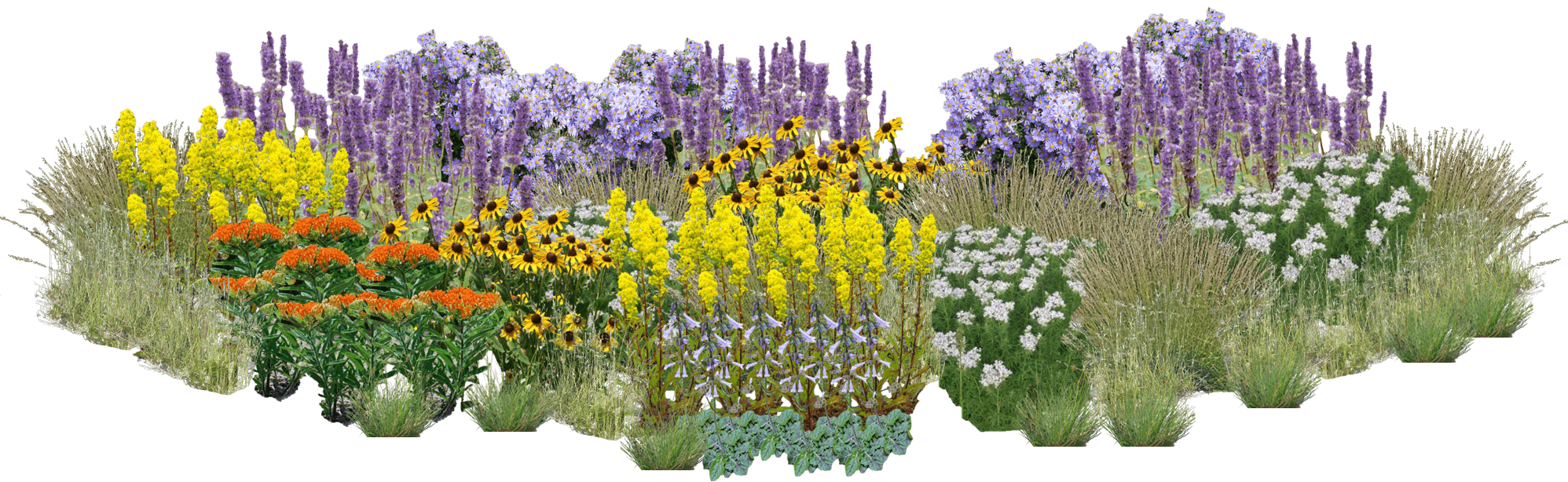Butterfly Boulevard Perennial Native Plants Collection [96 plants]