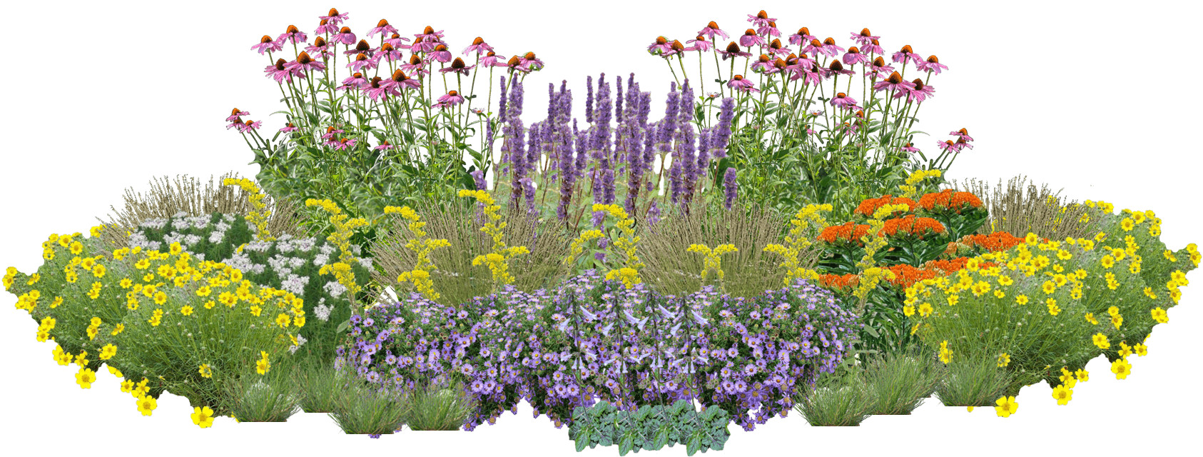 Butterfly Playground Perennial Native Plants Collection [64 plants]