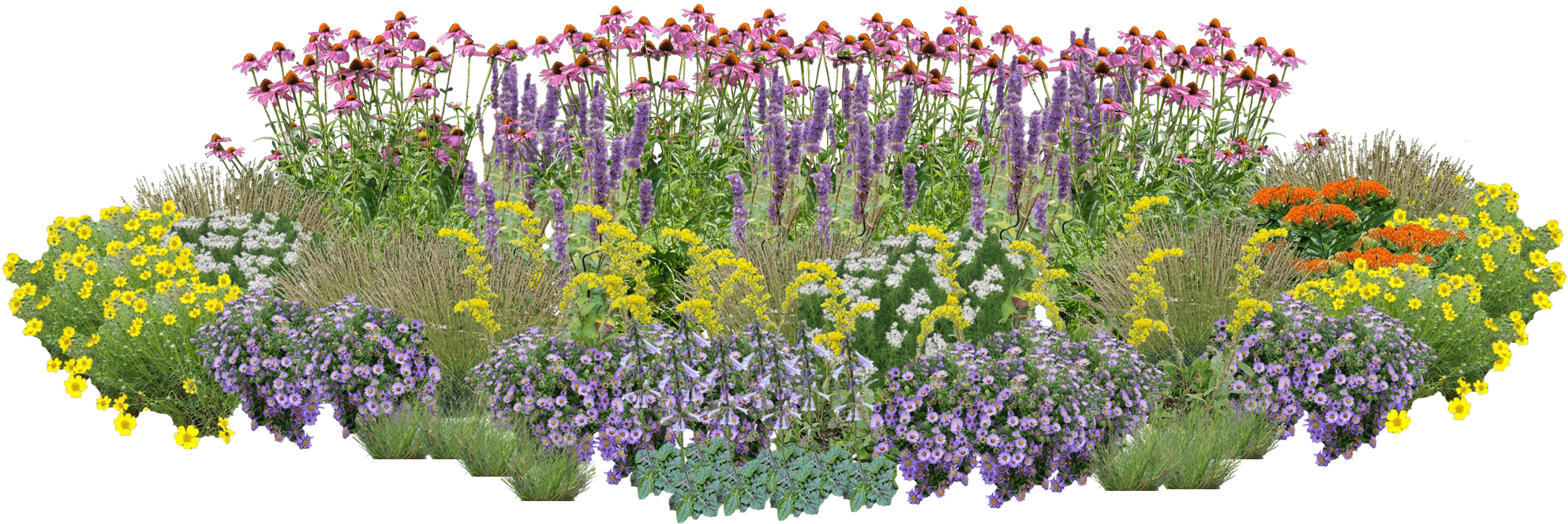 Butterfly Playground Perennial Native Plants Collection [96 plants]