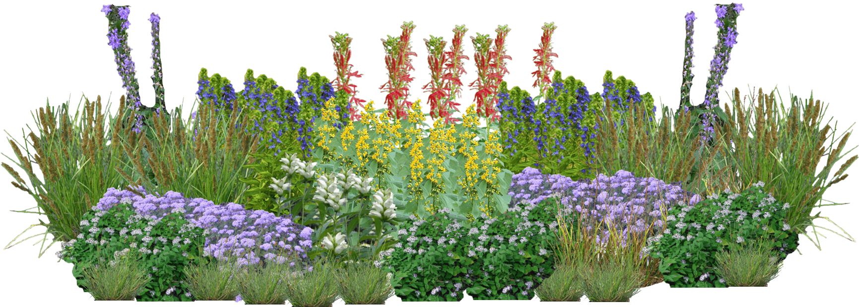 Hummingbird Happy Hour Perennial Native Plants Collection [64 plants]