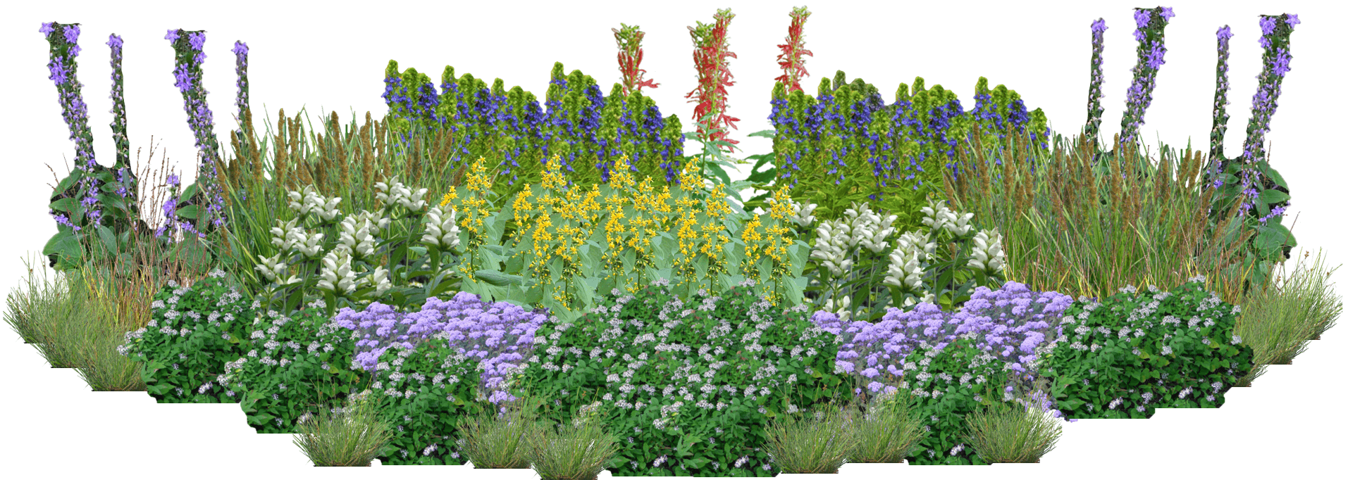 Hummingbird Happy Hour Perennial Native Plants Collection [96 plants]