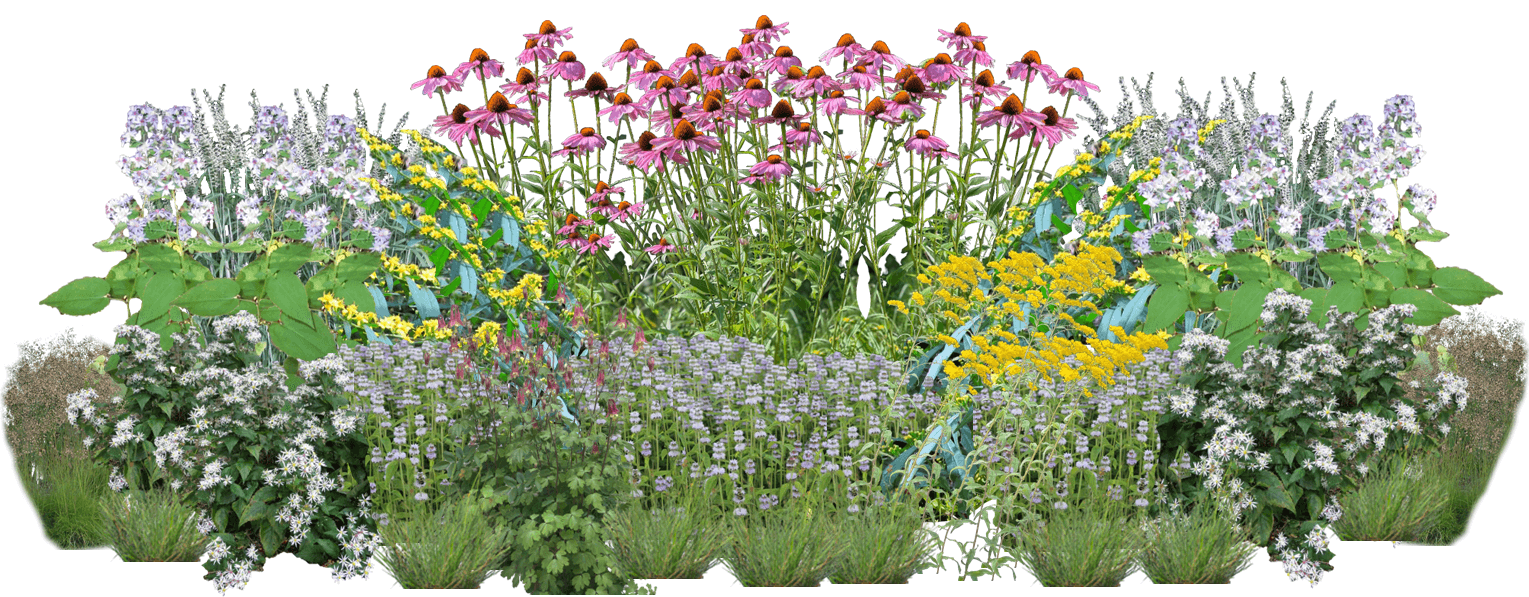 Liberty Bee Blooms Perennial Native Plants Collection [64 plants]