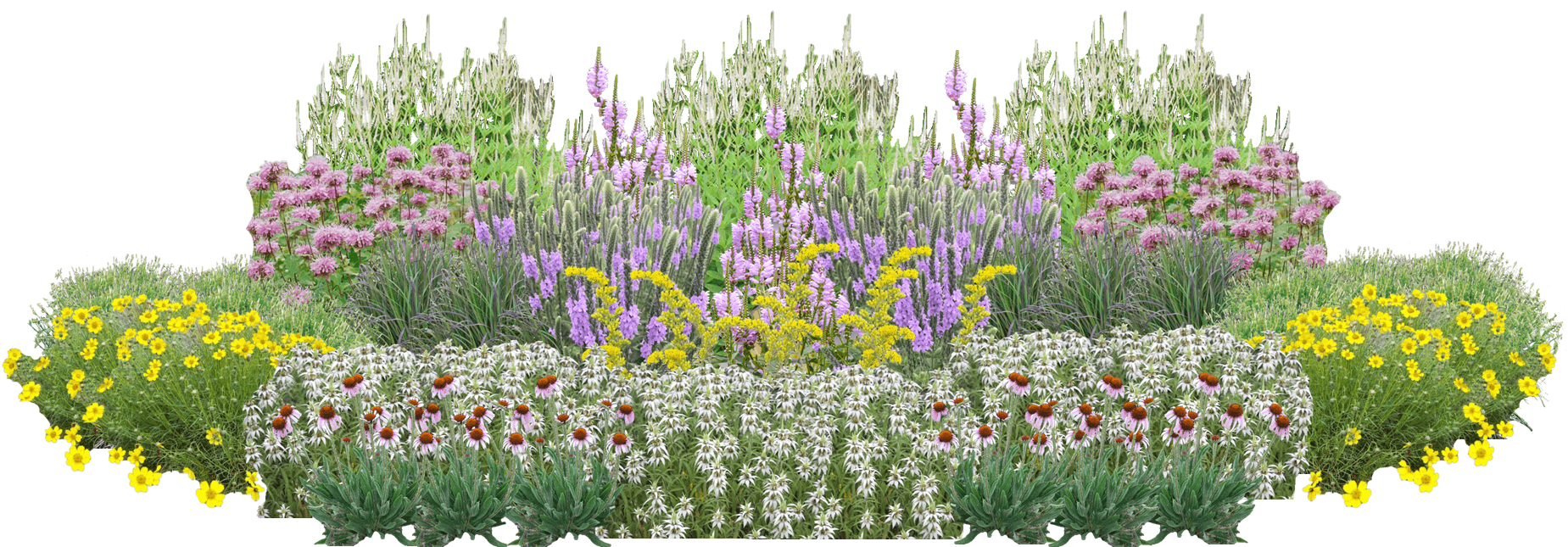 Pollinator Pastels Perennial Native Plants Collection [72 plants]