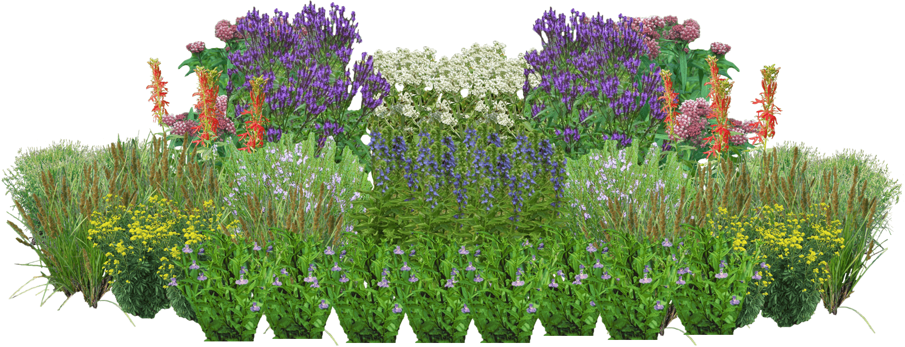 Purple Rain Perennial Native Plants Collection [72 plants]