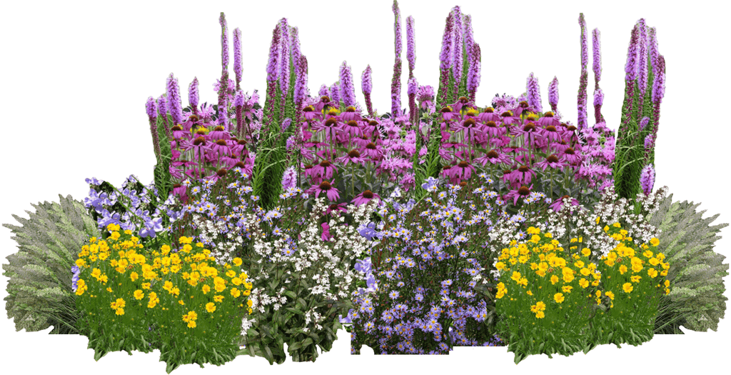 A garden of purple, white and yellow native flowers and grasses