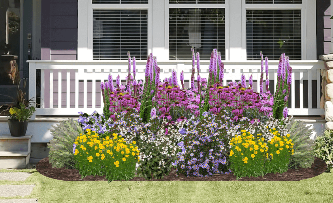 Multicolored native plant garden in front of gray house